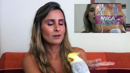 Calopsitas | Como evitar | Prevenir | Doenças