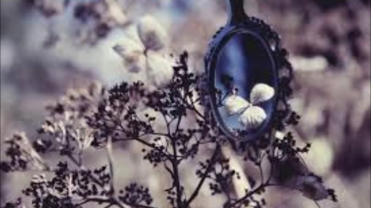 Narsilion - Mirror Of Nature