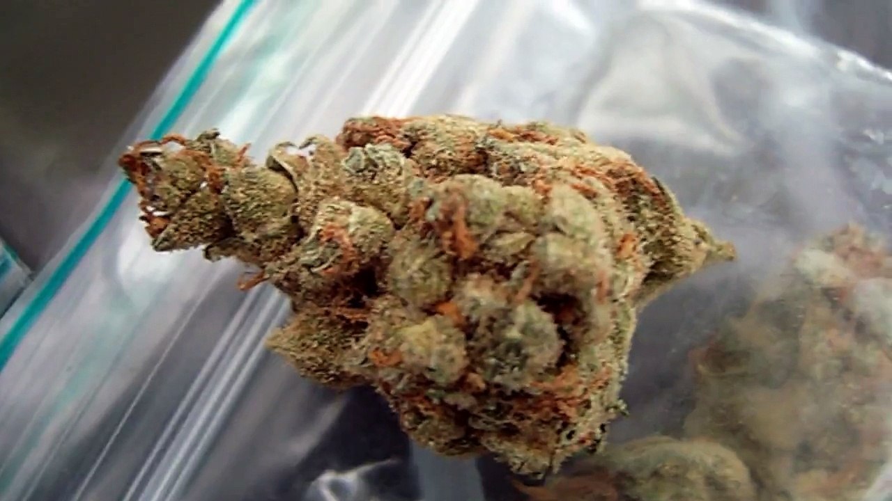 Amsterdam Buds, Hash and Kief 2