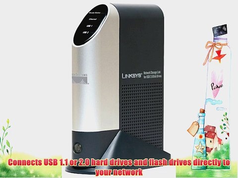 Cisco-Linksys Storage Link for USB 2.0 Disk Drives NSLU2