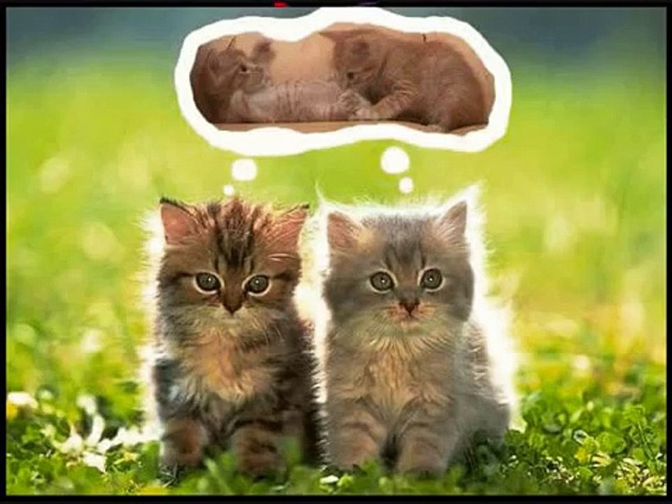 CUANDO YA NO ESTEMOS JUNTOS