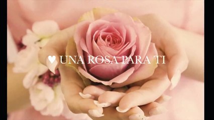 Oraciones a Maria ~ una rosa para ti