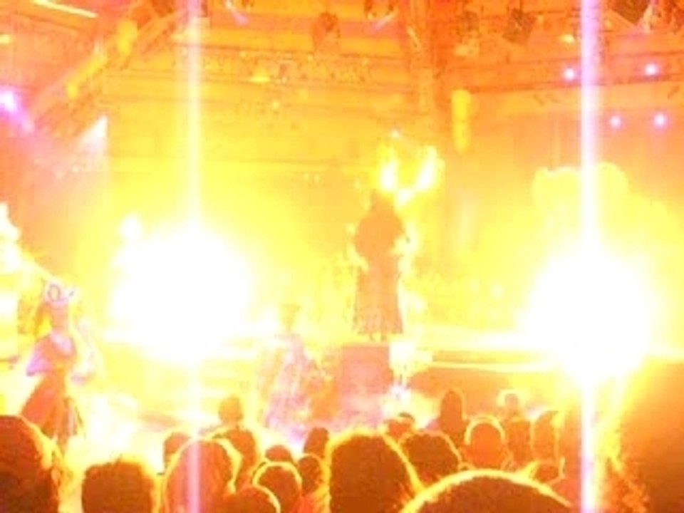 Lion King - Animal Kingdom