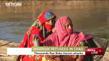 Nigerian Refugees Flee to Chad Following Boko Haram Attacks