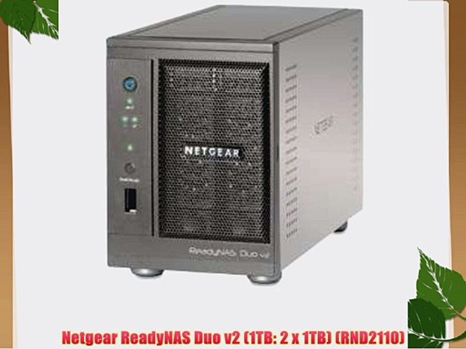 Netgear ReadyNAS Duo v2 (1TB: 2 x 1TB) (RND2110)