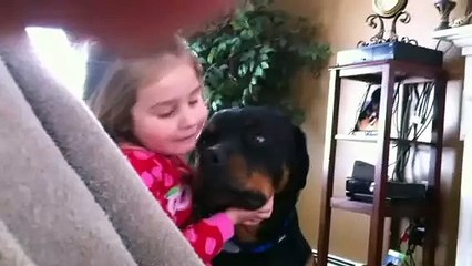 My Rottweiler doesn't like kids