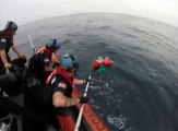 Des gardes-côtes libèrent deux tortues d'un filet de pêche