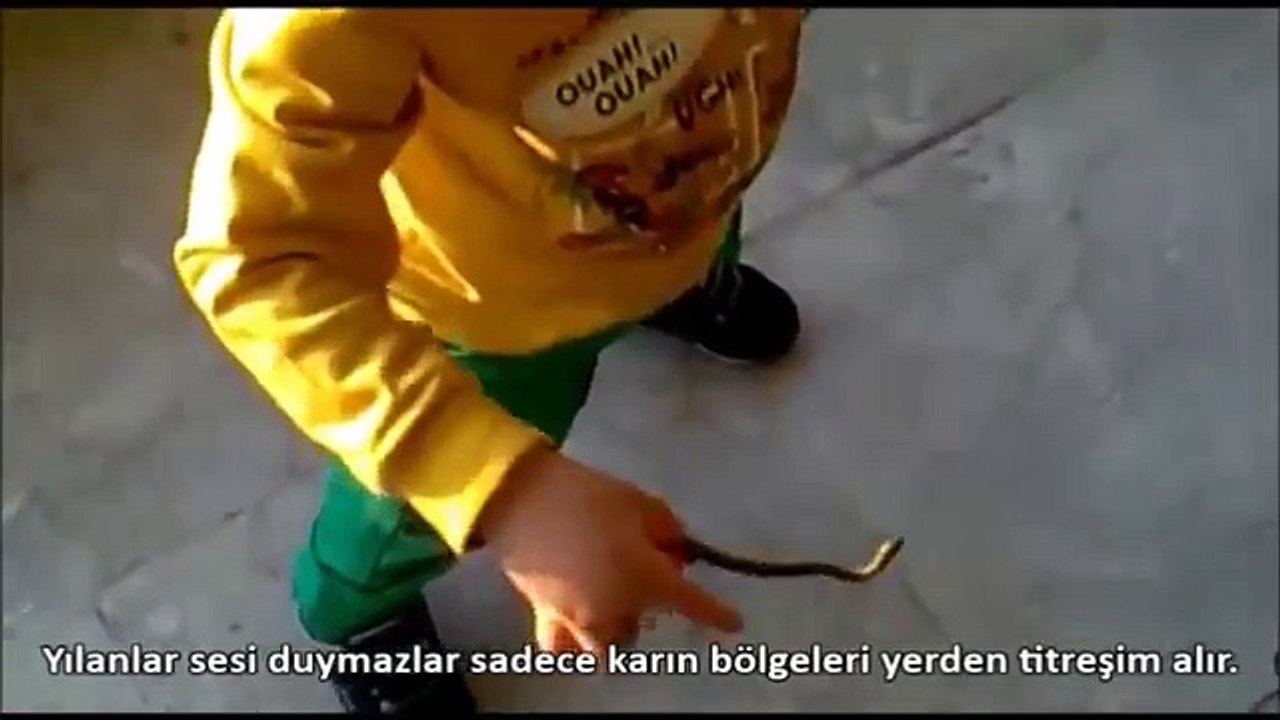 Dostlarımız Hayvanların Bilmediğimiz 10 Özelliği