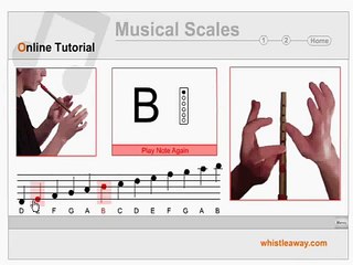 Tin Whistle Tutorial - Learn to play the penny whistle