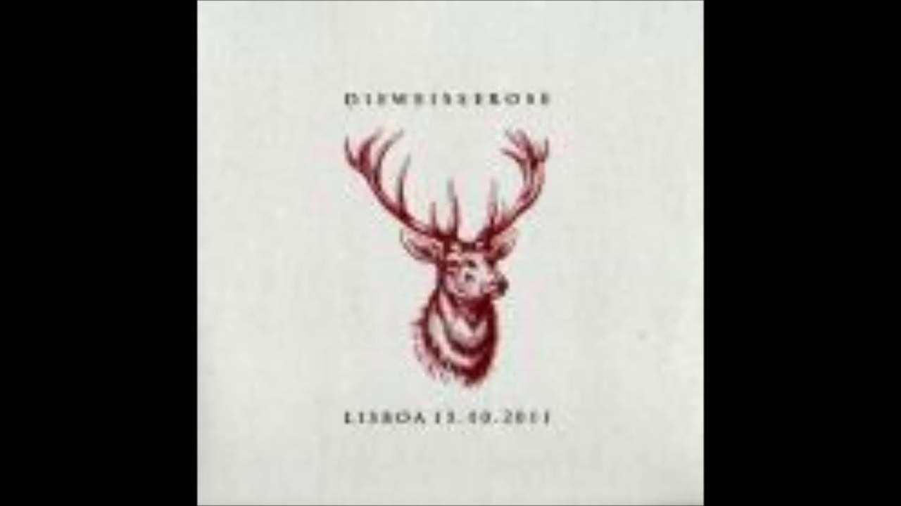 Die Weisse Rose - Birds Of Passage