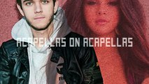 Zedd - I Want You To Know (ft. Selena Gomez) | ACAPELLA