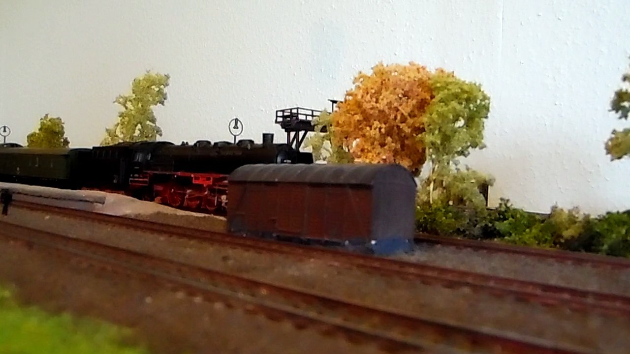 Heckeneilzug aus Bahndammperspektive mit 50 3123