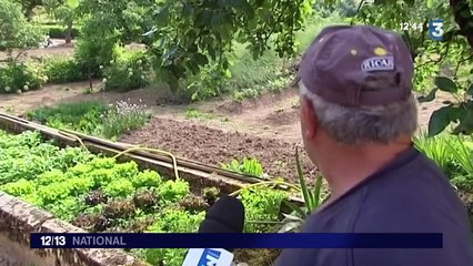 Un rendez-vous pour redécouvrir les jardins publics