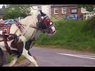 Appleby Horse Fair 2010