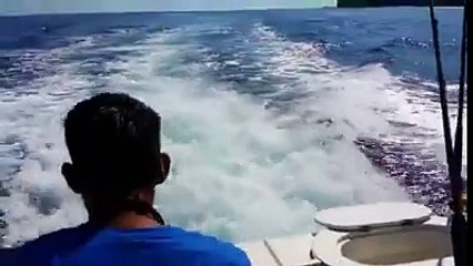 hahaha its lovely yaar - MASHALLAH