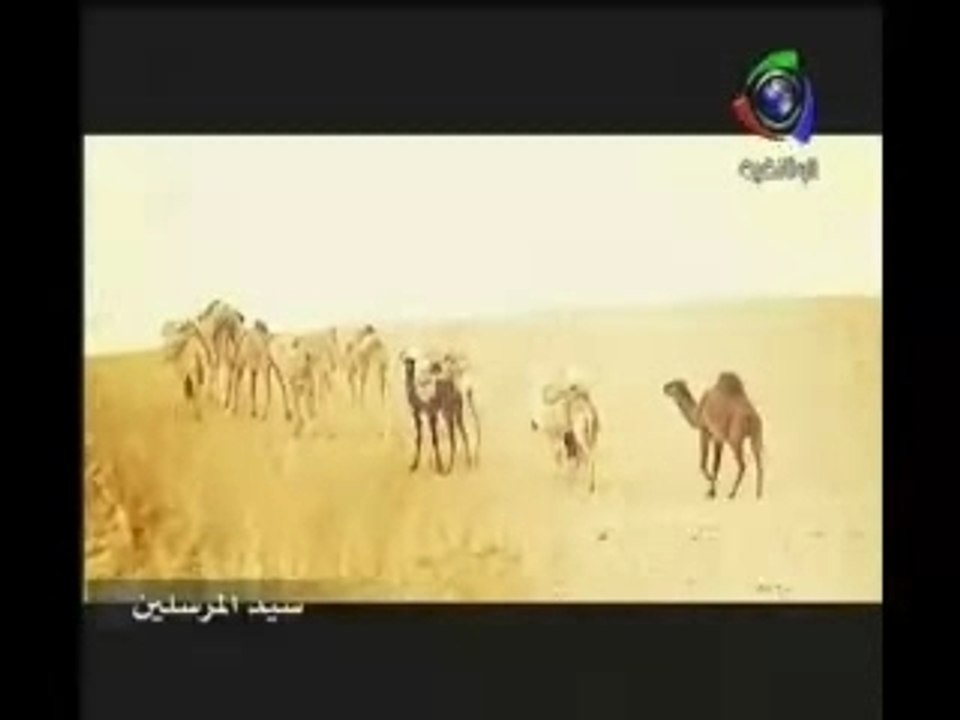 النبي اليتيم 3