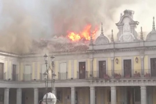 Dos cigüeñas se salvan del incendio de Brunete