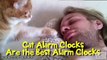 Cat Alarm Clocks Are The Best Alarm Clocks