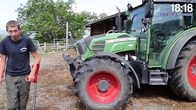 Alpes : le témoignage de l'ado attaqué par des loups