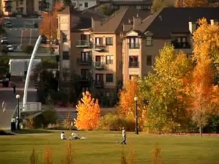 Urban Church Planting