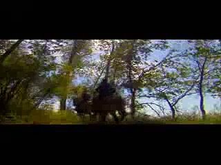 Trail of Tears- Cherokee Legacy