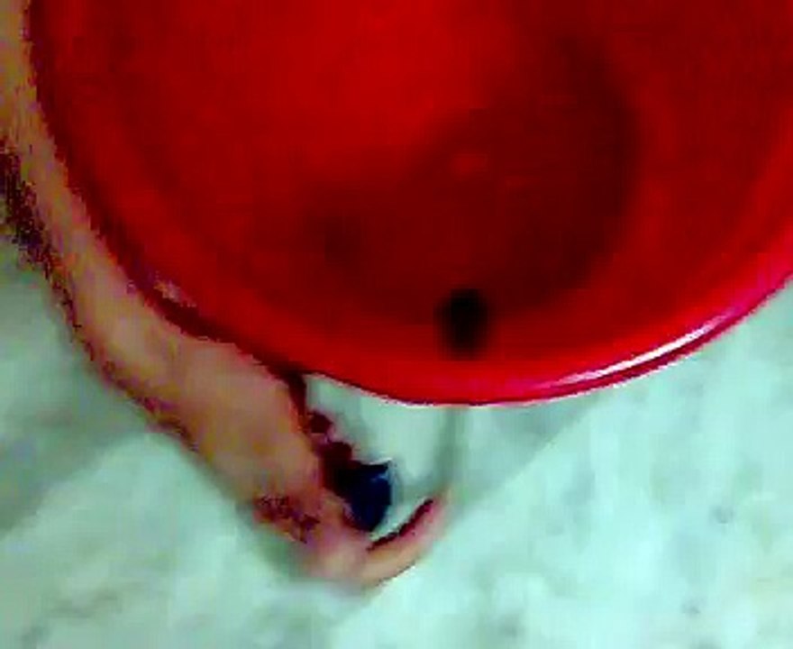 Mouse in the bucket