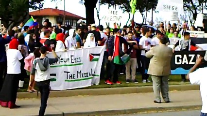 In Solidarity with Gaza Protest at the Grassy Knoll Dallas