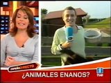 Animales enanos (España Directo 19-9-06)