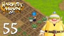 Lets Play - Harvest Moon 64 [55]