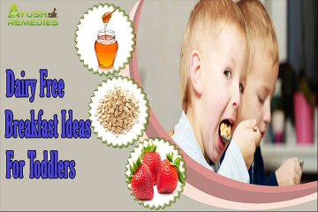 Delicious And Healthy Dairy Free Breakfast Ideas For Toddlers And Kids