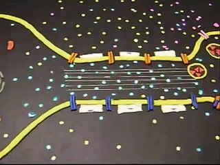 Sinapsis. Synapse. Potencial de accion. Neurona. Neurotransmisor. Canal ionico