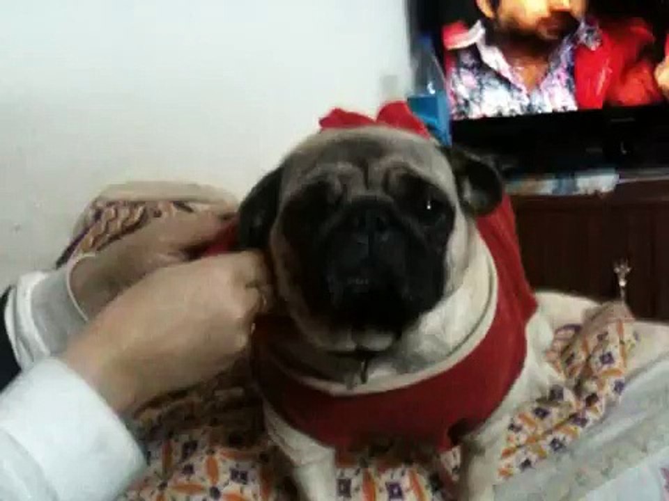 PUKU supermodel