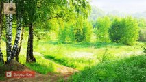 Best Relaxing Music   Forest Sounds Therapy , Piano Music Relax relaxing music 2015 folk music 2015