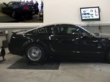 Mustang GT dyno run - tazmax