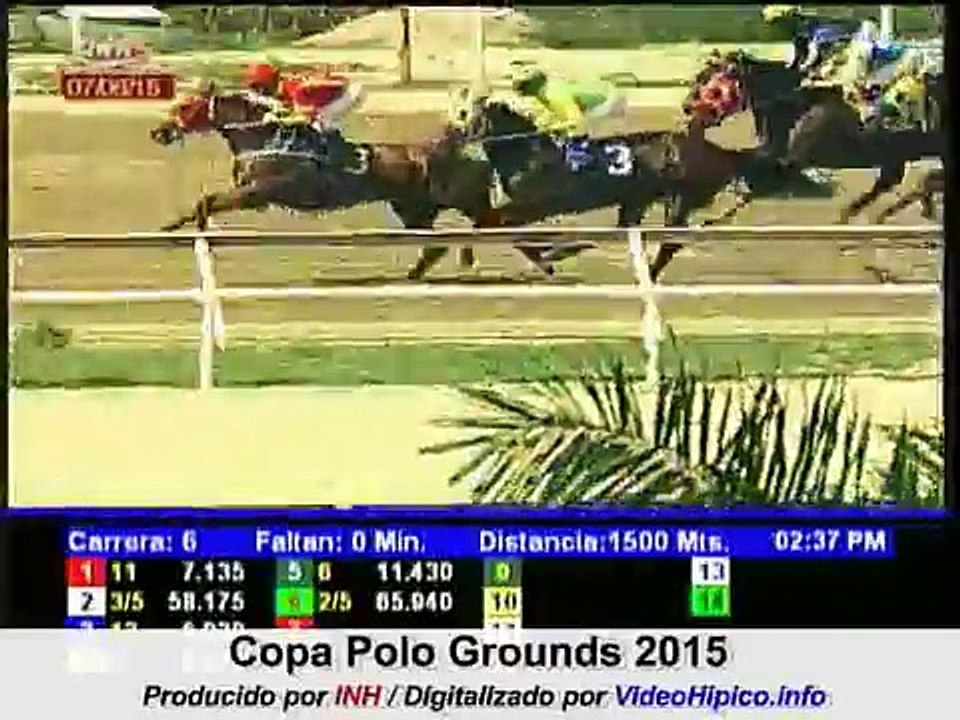 Copa Polo Grounds 2015