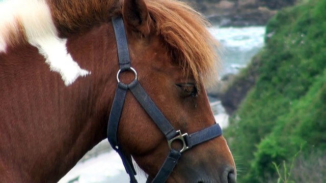 PAISAJE la costa de Carreño, Asturias 7 Junio