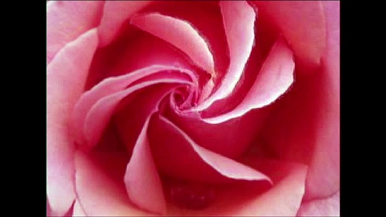 islamic miracle معجزات الله في خلقه سبحان الله لن تصدق ما سترى والله سوف تذهل