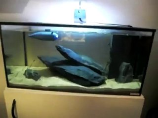 rc submarine aquarium ubåt akvarium solavi1