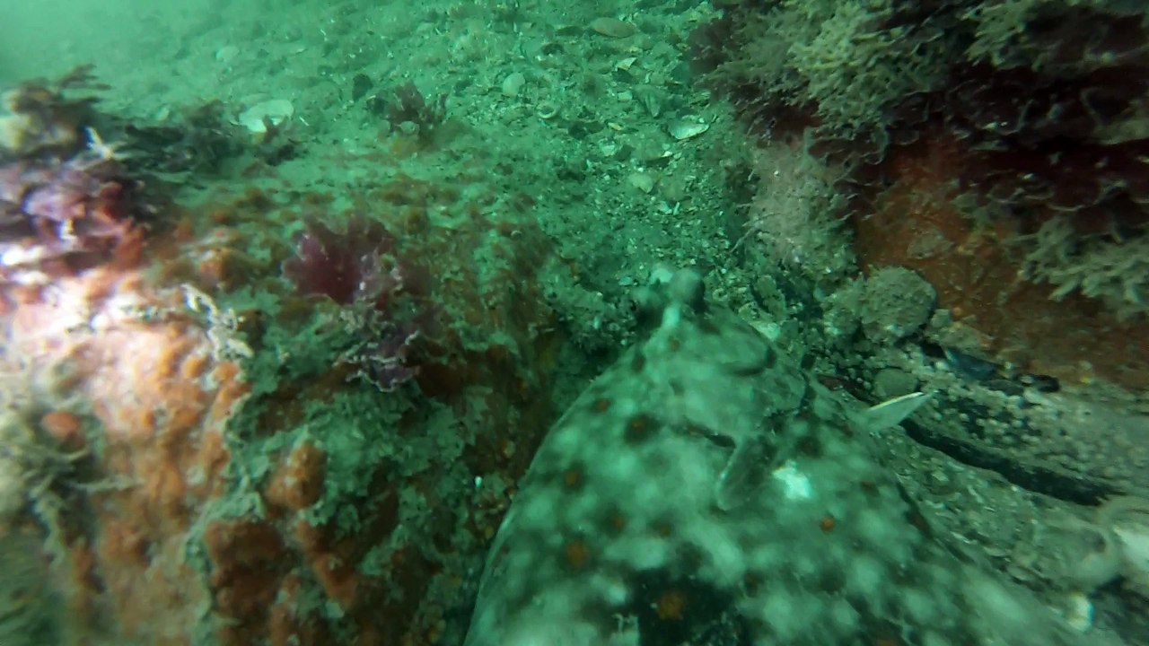 arromanches 07-06-2015