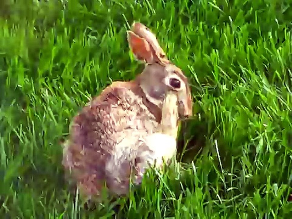Spread them toes!