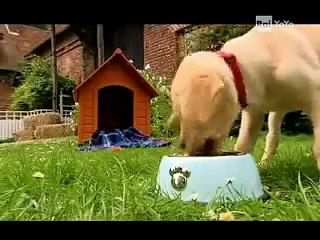 La Squadra Della Fattoria 1x03