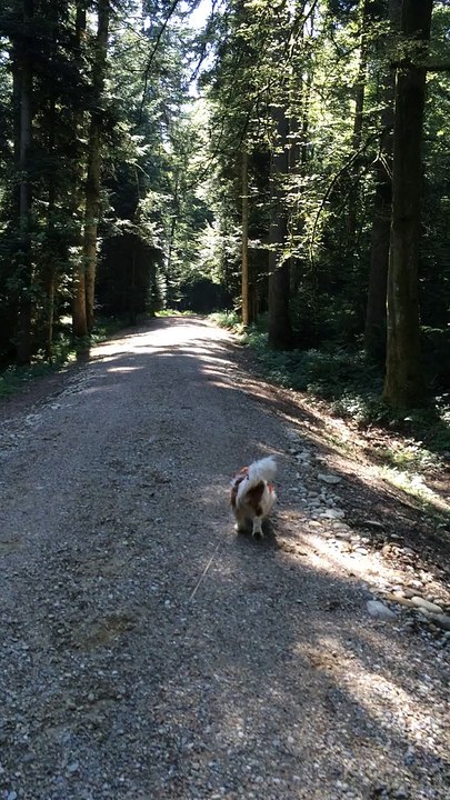 ....on a sunday walk with Lenny