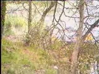 Rally - Opel Manta Crash