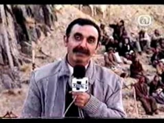 concours de plongeon