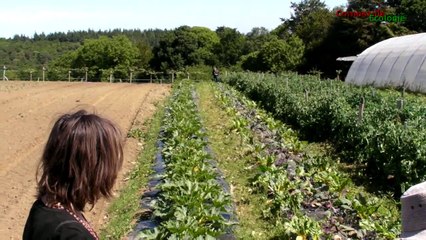 Les maraichers de la Coudraie