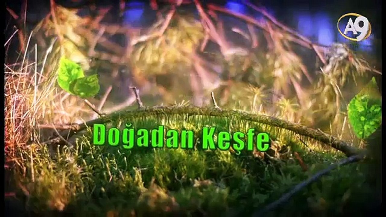 Su Patencileri