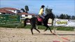 Samedi 19 Octobre 2013 - Cours galop 5 - Mise en selle/obstacle.