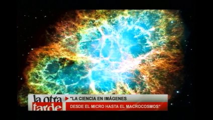 La ciencia en imágenes, desde el microcosmos hasta el macrocosmos.