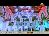 اغاني وطنيه مصريه  عبد الحليم حافظ  صوره