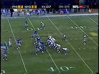 Eagles mess up flea flicker